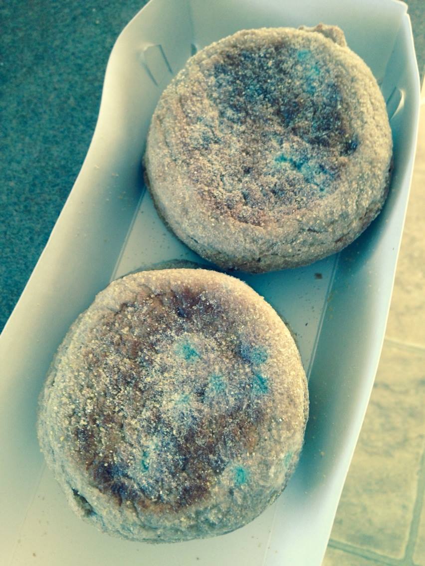 What Normal Eating Looks Like: Moldy Muffins!